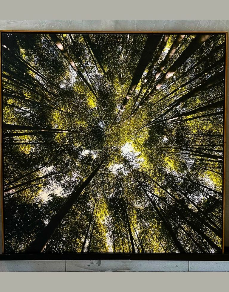 COPA ÁRVORE CANVA  MEDIDA: 100x100 - R$1.520,00 - PIX: 30% desconto - Parcelado: 15% desconto